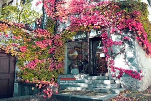 不影響減肥的美食？ 吃美食又要減肥的句子？