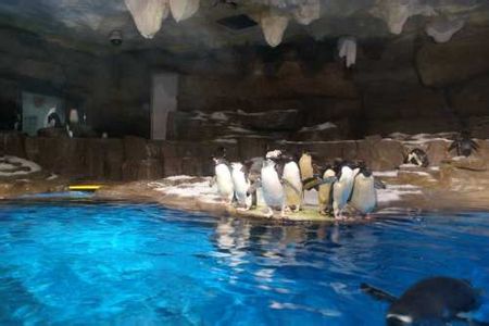 青島有哪些風(fēng)景名勝??！