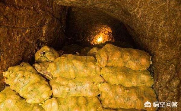 過(guò)年必須吃什么菜？